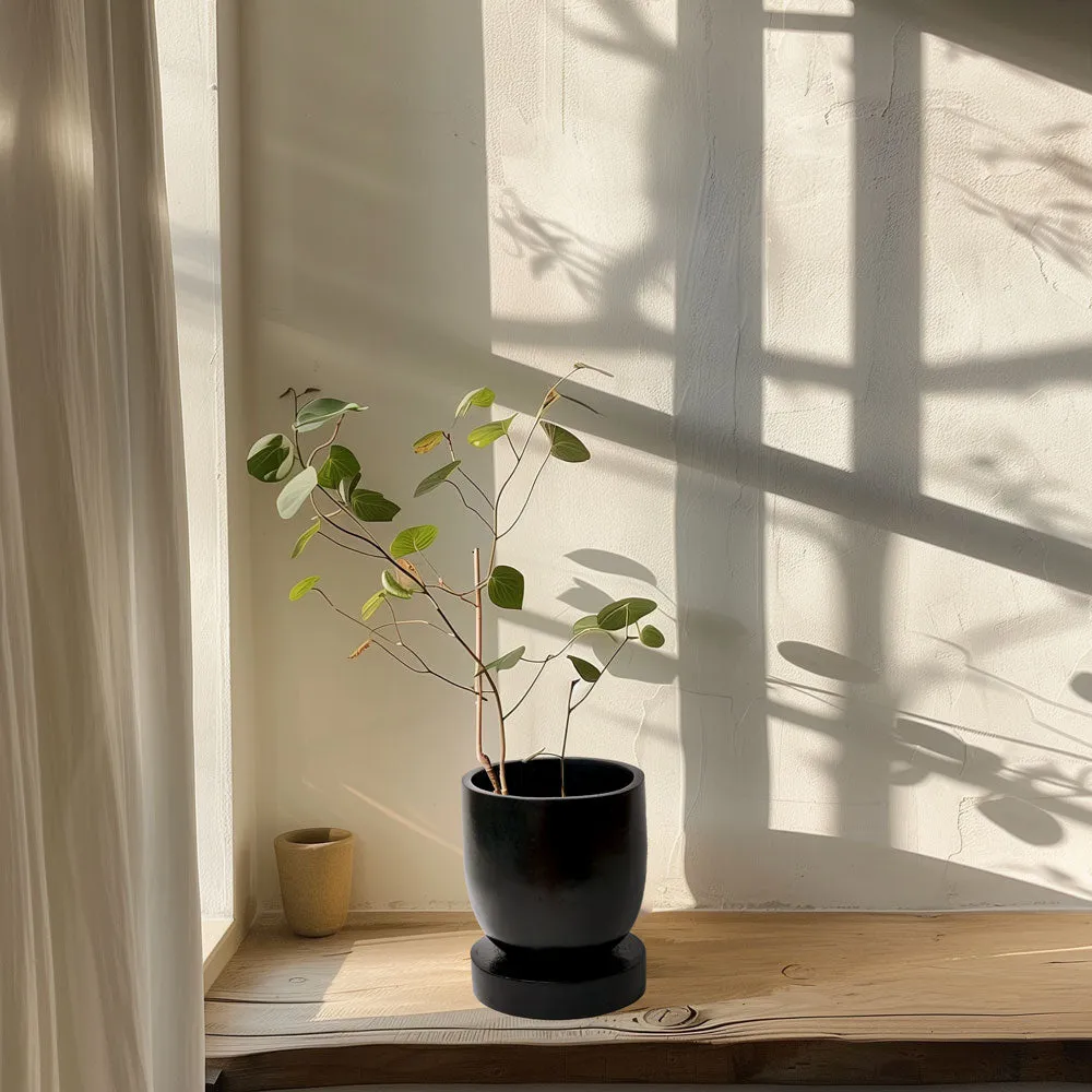 Adu Planter