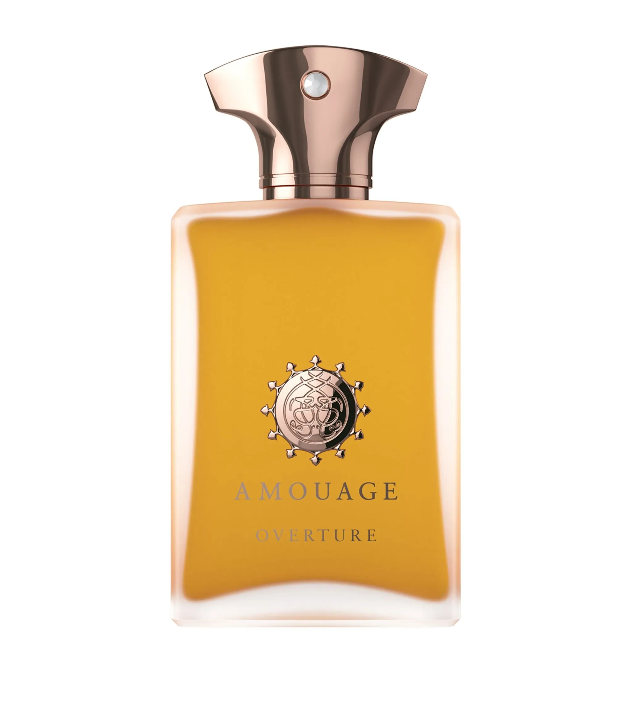 Amouage Overture Man 100 ml