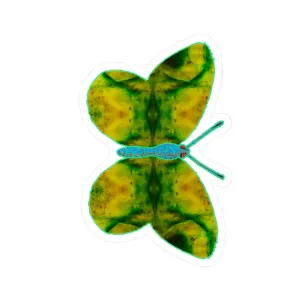 Ante Iridem Margo (Vinyl Decals)(Butterfly Glade Denizen) RJSTH@Fabric#10_10 of 16 RJSTHw2023 RJS