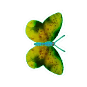 Ante Iridem Margo (Vinyl Decals)(Butterfly Glade Denizen) RJSTH@Fabric#10_16 of 16 RJSTHw2023 RJS