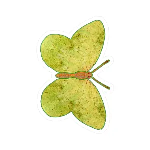 Ante Iridem Margo (Vinyl Decals)(Butterfly Glade Denizen) RJSTH@Fabric#2_1 of 16 RJSTHw2023 RJS