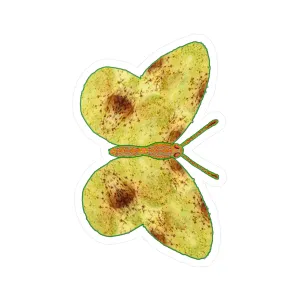 Ante Iridem Margo (Vinyl Decals)(Butterfly Glade Denizen) RJSTH@Fabric#2_7 of 16 RJSTHw2023 RJS