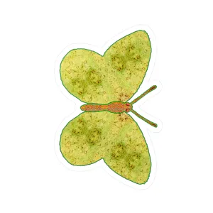 Ante Iridem Margo (Vinyl Decals)(Butterfly Glade Denizen) RJSTH@Fabric#2_8 of 16 RJSTHw2023 RJS