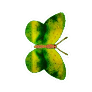 Ante Iridem Margo (Vinyl Decals)(Butterfly Glade Denizen) RJSTH@Fabric#3_16 of 16 RJSTHw2023 RJS