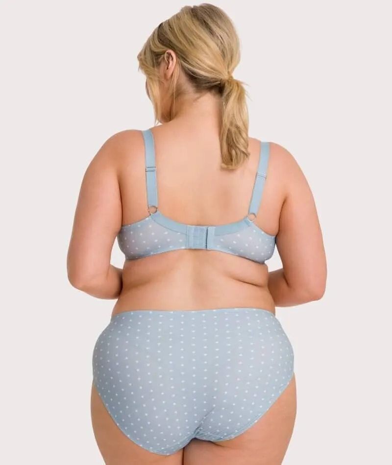 Ava & Audrey Jacqueline Full Brief with Lace - Blue/Ivory