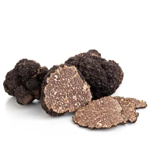 Black Truffle - Winter Tuber melanosporum vittadini Perigord