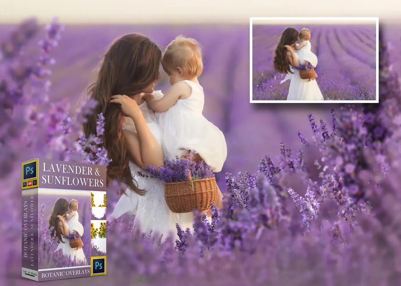 Botanical Overlays: Lavender Field & Sunflower
