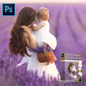 Botanical Overlays: Lavender Field & Sunflower