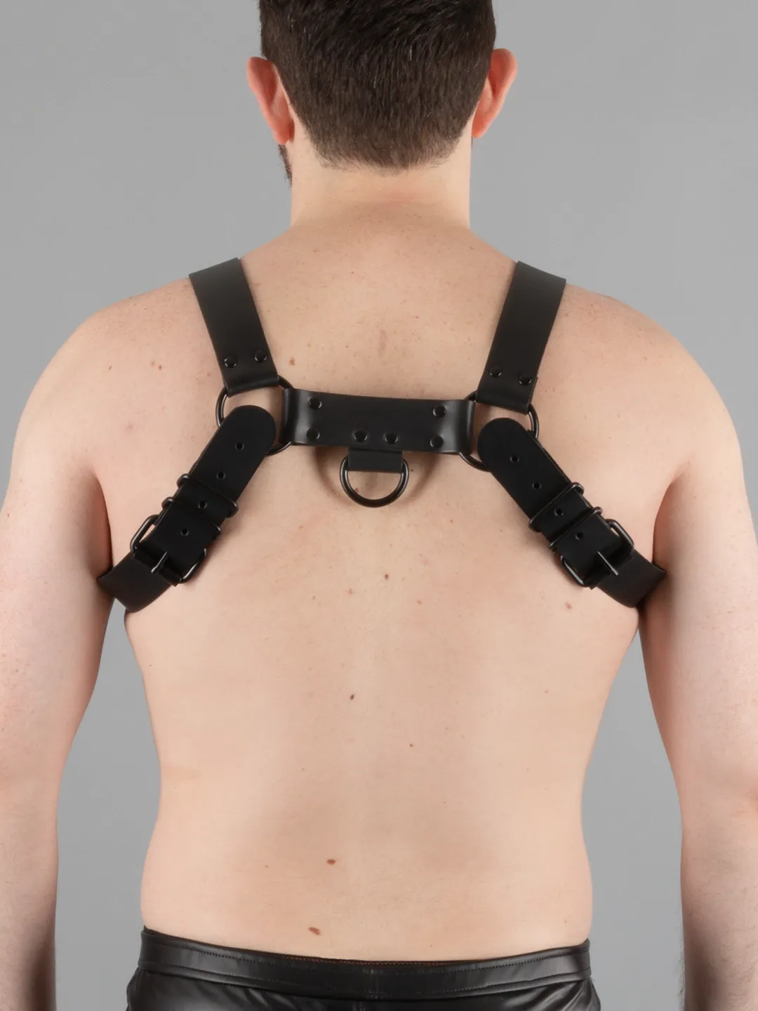 Bulldog Harness with Black Hardware