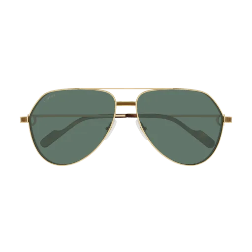 Cartier CT 0334S
