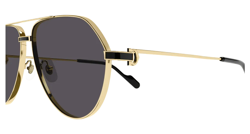 Cartier CT 0334S