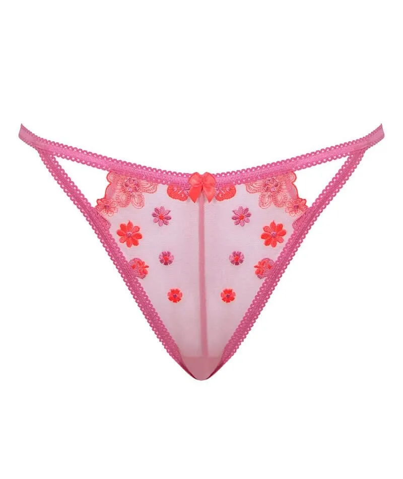 Curvy Kate Strawberry Crush Brazilian Brief - Pink Multi