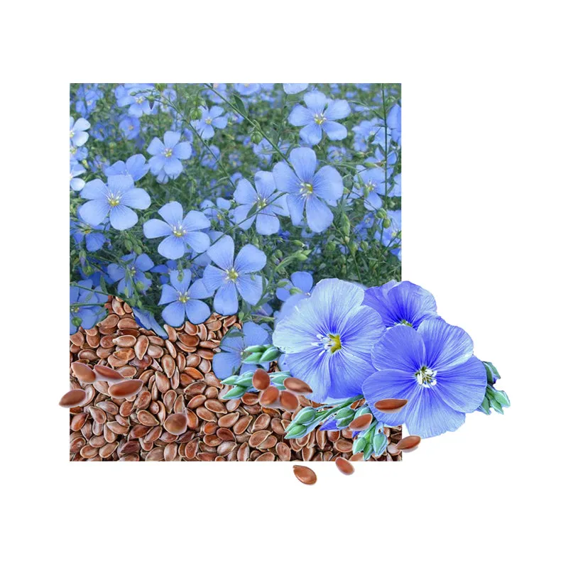 Flaxseed linseed oil natural carrier 100 ml