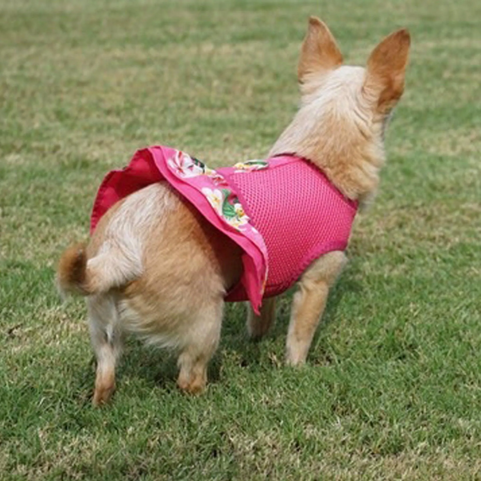 Fuchsia Hawaiian Ruffled Dog Harness