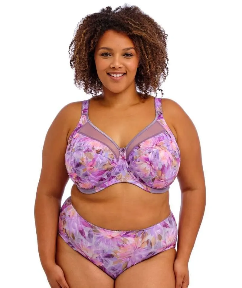 Goddess Kayla Brief - Lotus