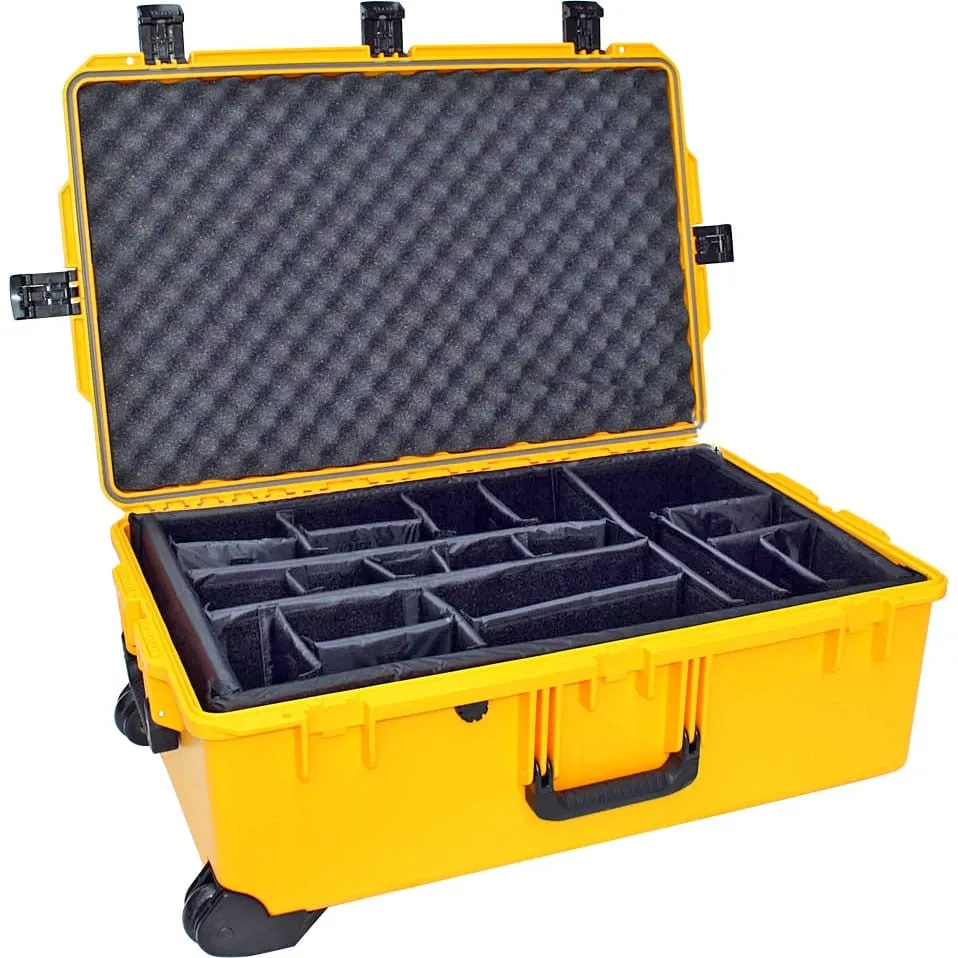 iM2950 Travel Case