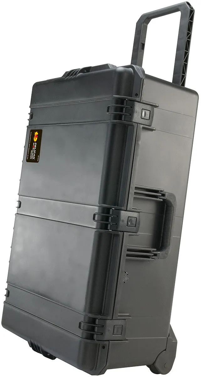 iM2950 Travel Case