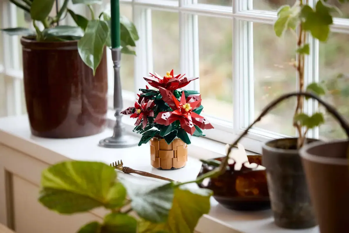 Lego Poinsettia (10370) Pre Order