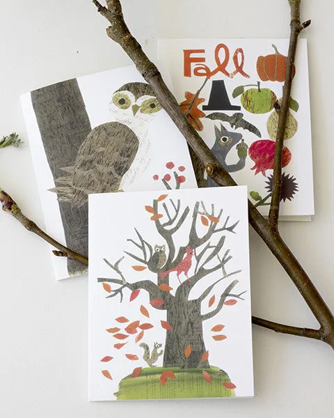 Owl With Gift