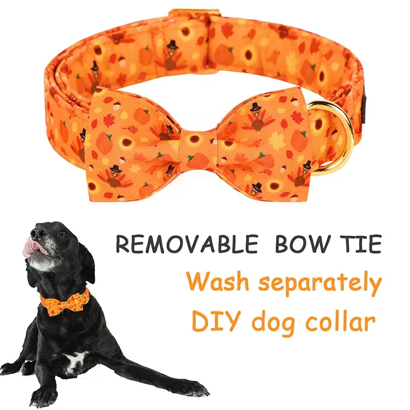 Personalized Pumpkin Dog Collar with Bowtie flower | Customized Autumn Collar for Dogs