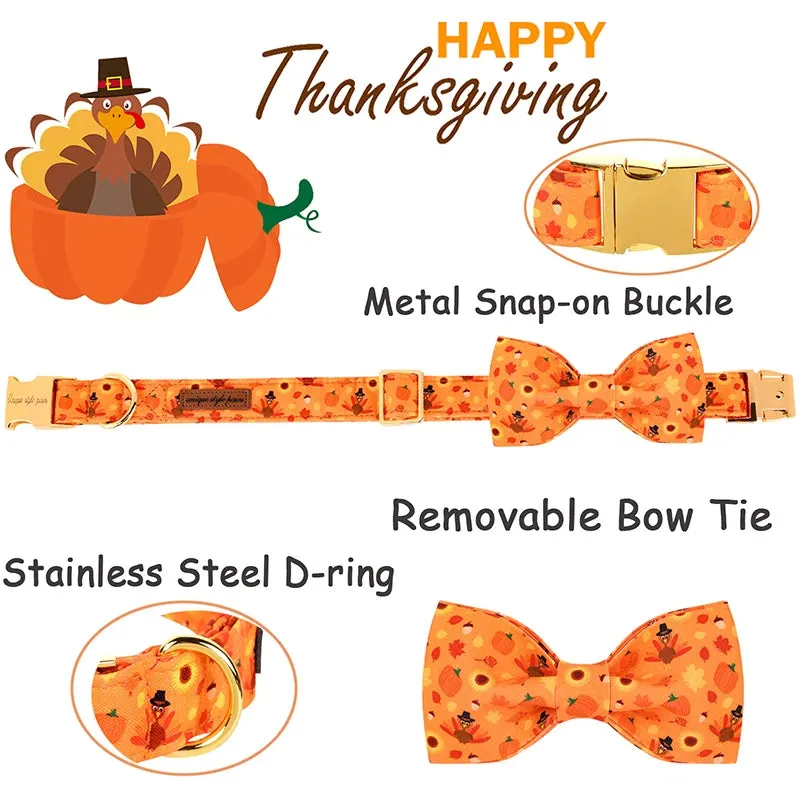Personalized Pumpkin Dog Collar with Bowtie flower | Customized Autumn Collar for Dogs