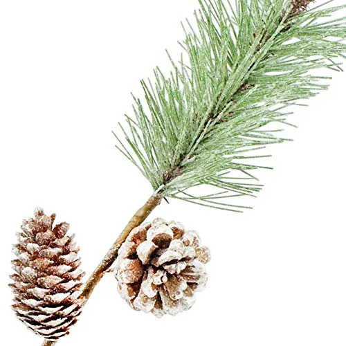 Pine Cone Picks (Case of 60)