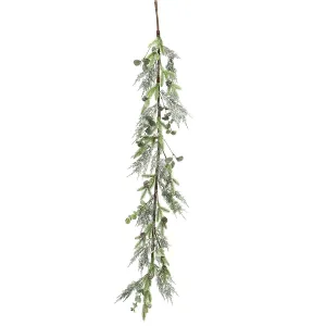 Pine Eucalyptus And Privet Garland