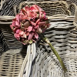 Pink Hydrangea Bundle