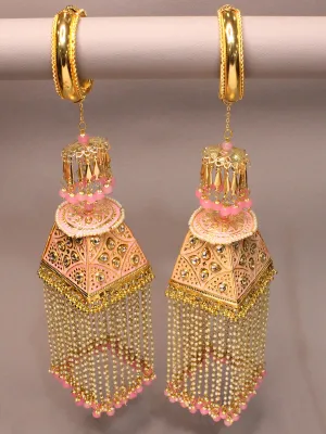 Pushkar Kaleeray