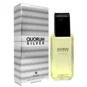 Quorum Silver for Men EDT 100ml