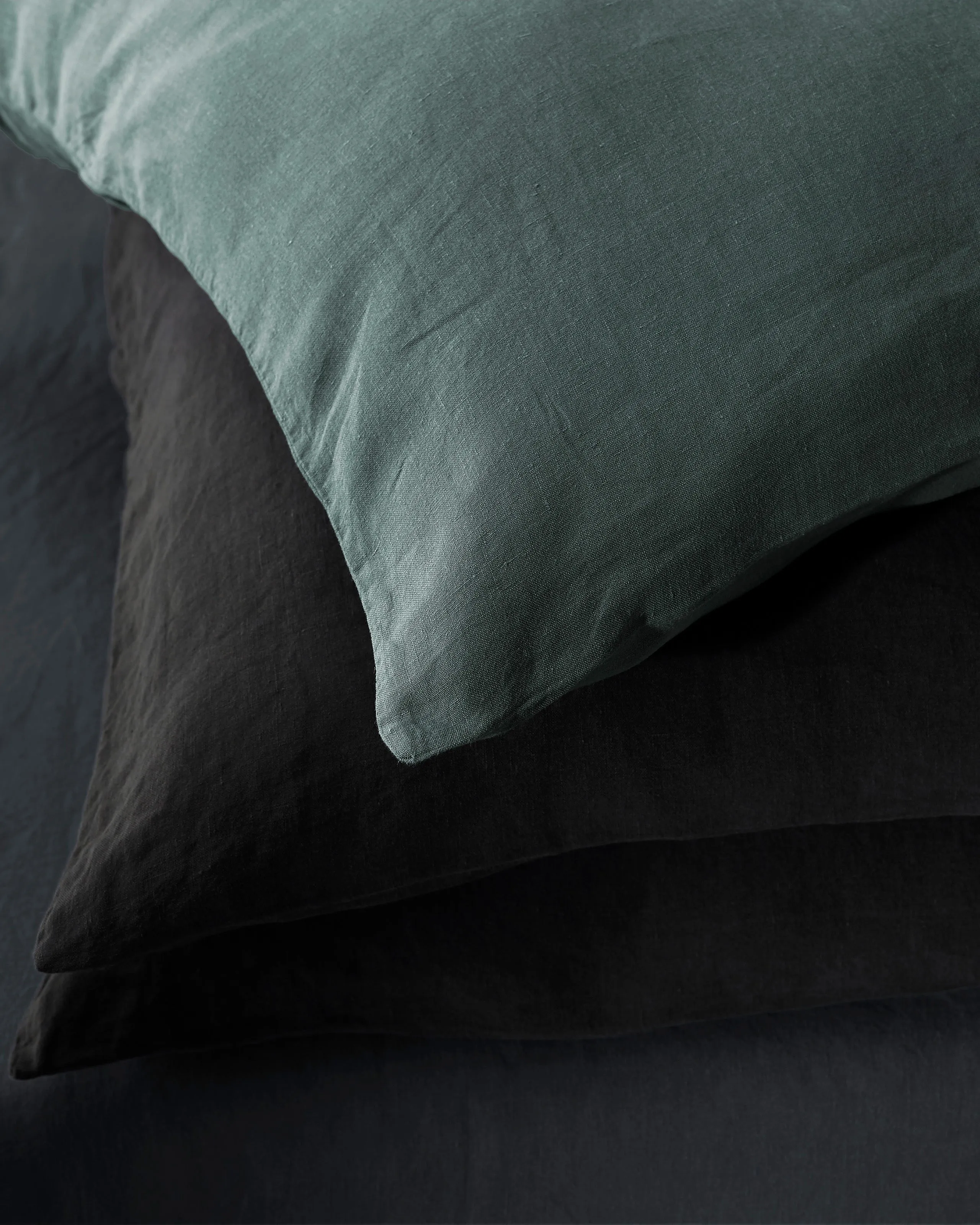 Rem Pillow Cases Set