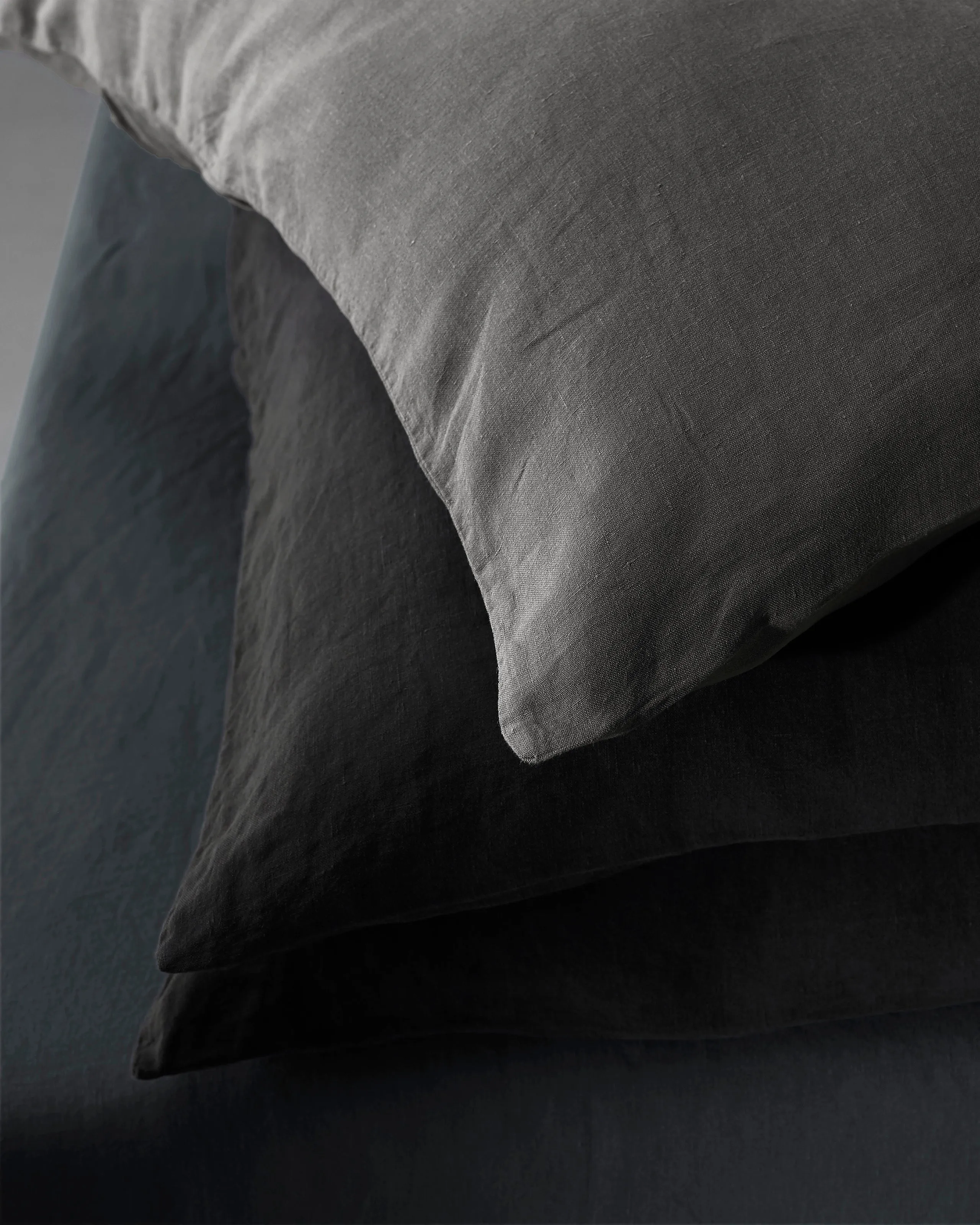Rem Pillow Cases Set