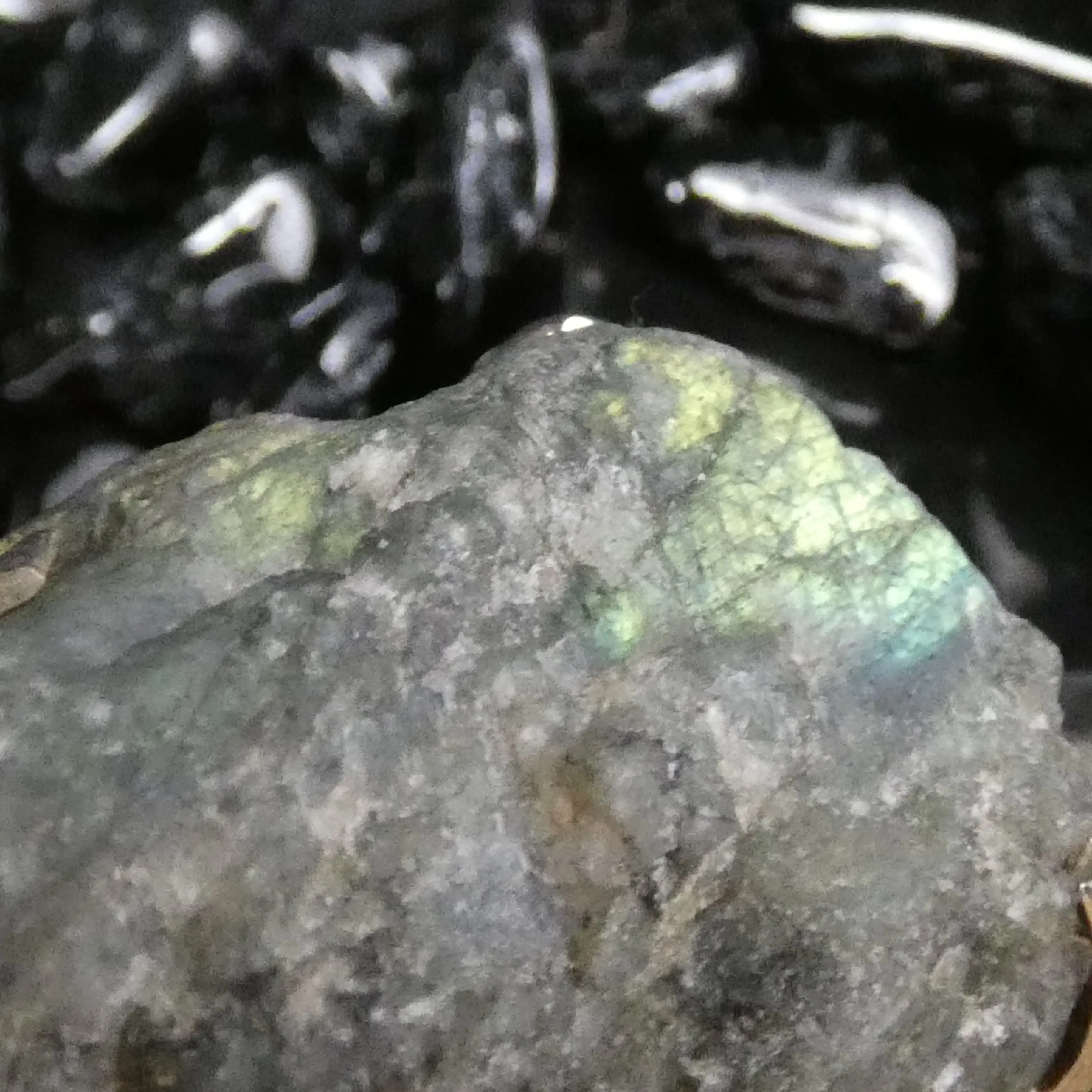 Rough Labradorite in Silver Pendant