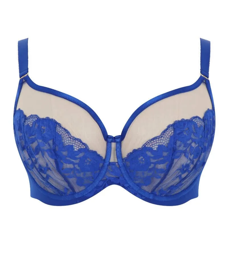 Sculptresse Josephine Full Cup Underwired Bra - Cobalt / Latte