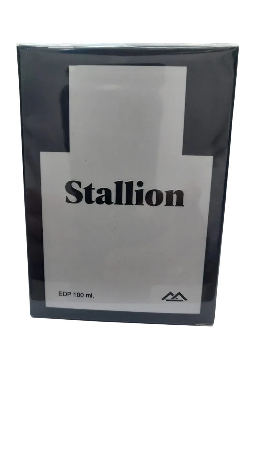 Stallion Eau De Parfum 100ml By Monte Bianco For Men