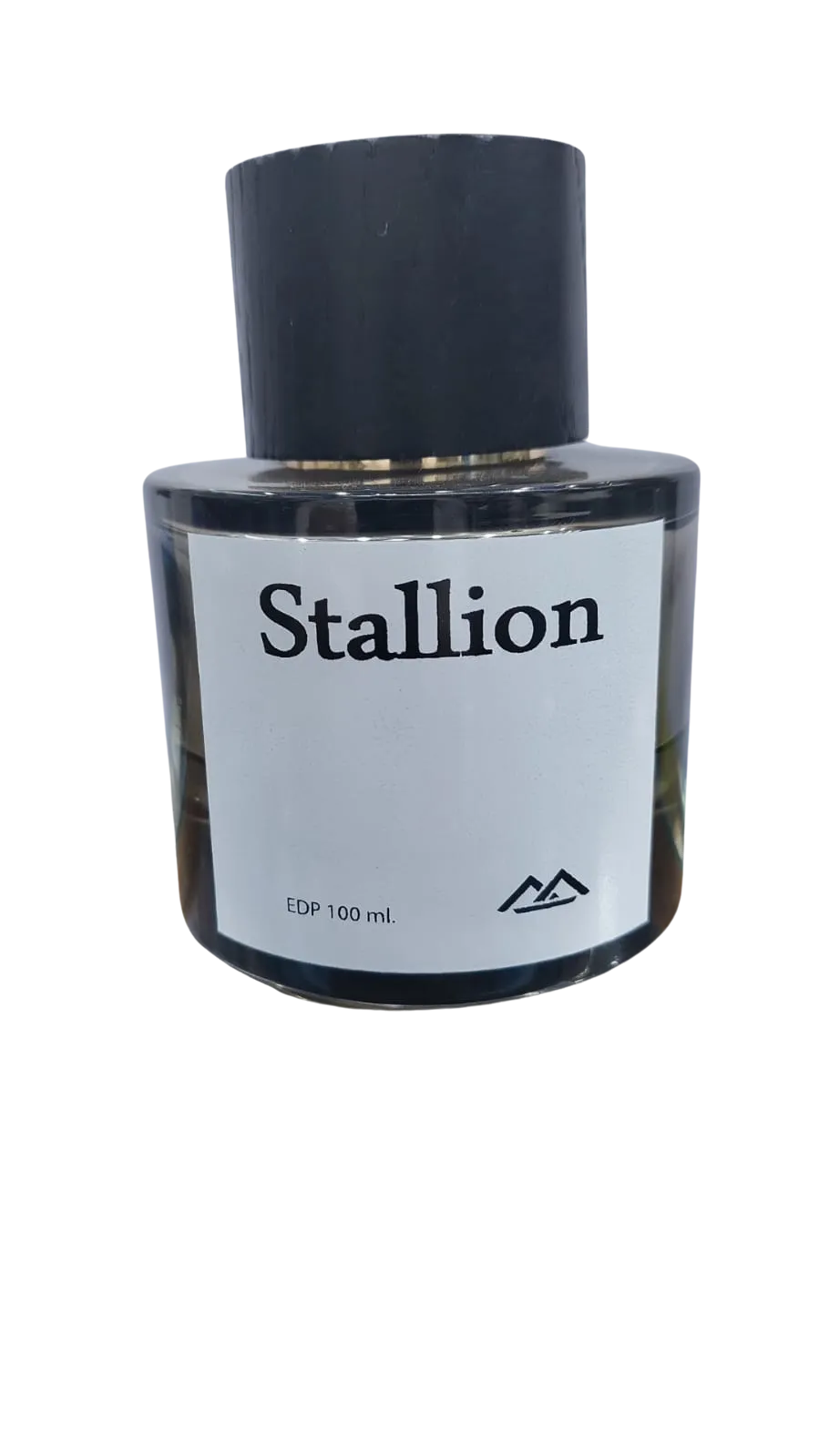 Stallion Eau De Parfum 100ml By Monte Bianco For Men