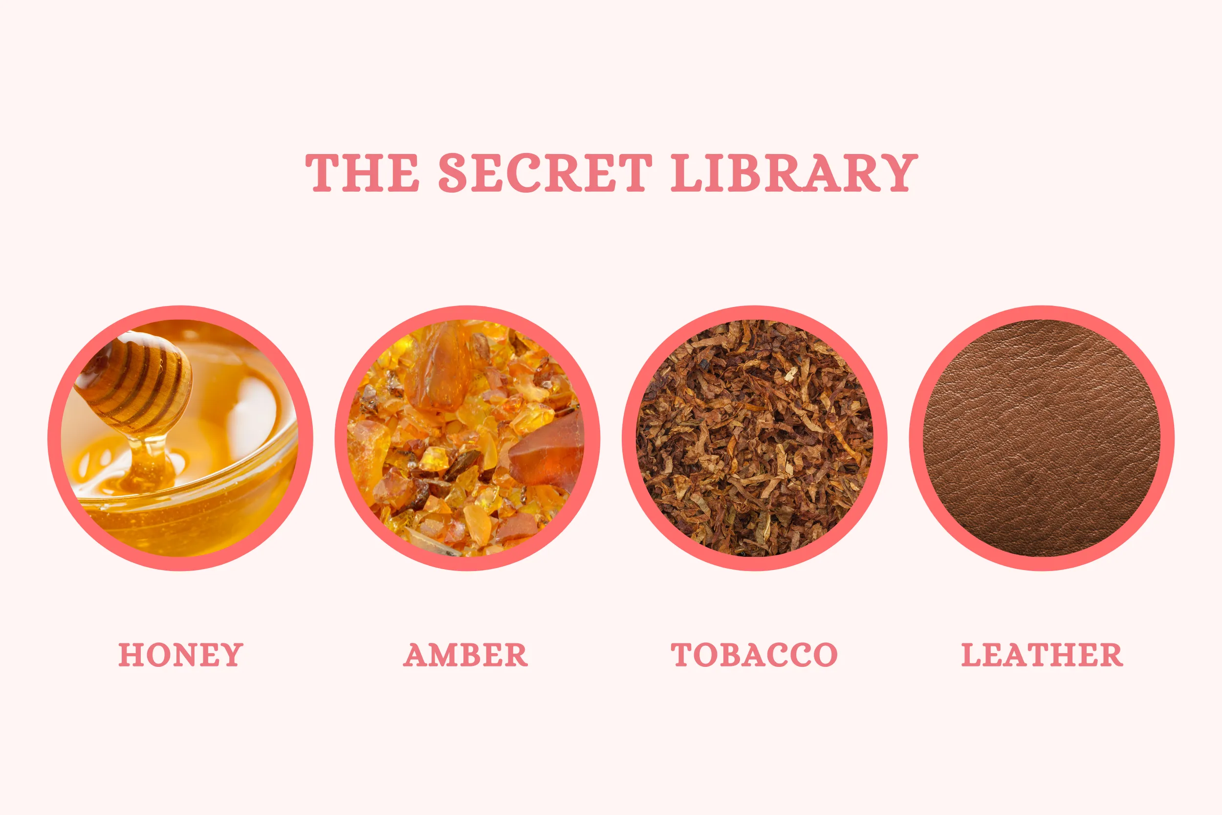 The Secret Library - Soy Candle