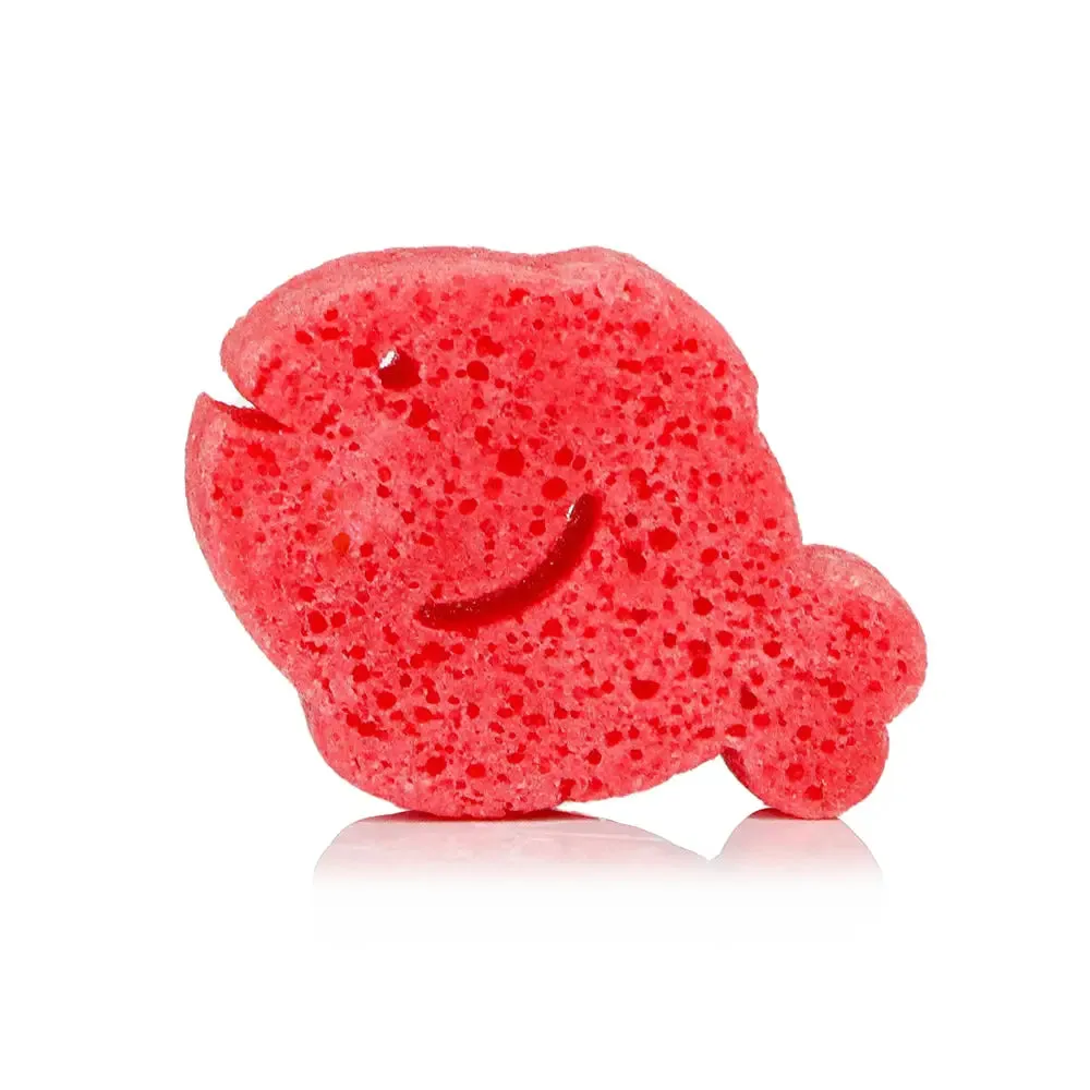 The Spongelle Sea Animals - Various Styles