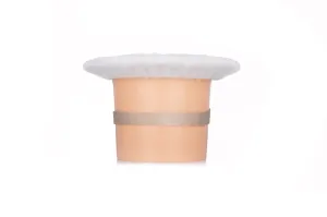 Top Hat Potty