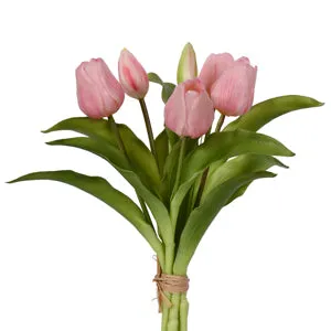 Tulip Bundle