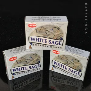 White Sage Cone Incense by HEM 10 Pack
