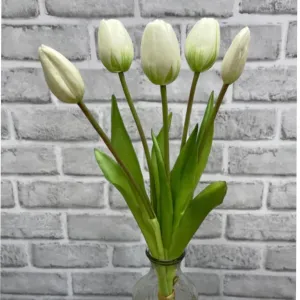 White Tulip Bundle