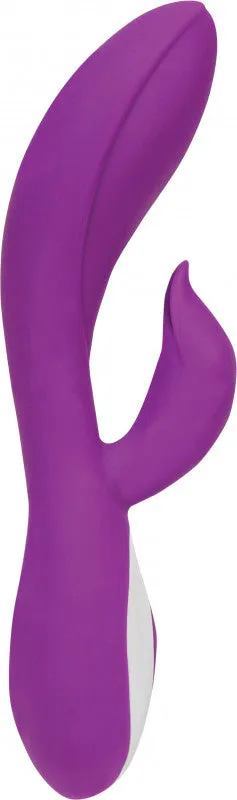 Wonderlust Harmony - Purple